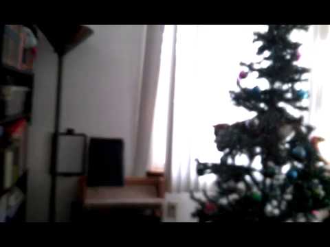 Cheetah Christmas Tree Disaster