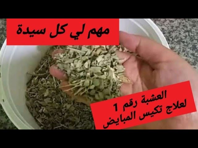 عشبة القطف المغربي 60جرام