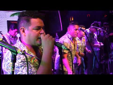 Armonia 10 (El Chancho de mi Vecina) 2022 Gothi - k Sur