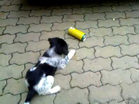 Bertík a plechovka 1