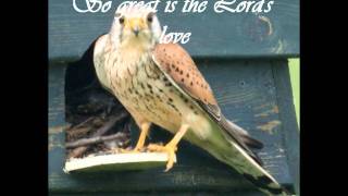 Psalm 103 - Sons of Korah.