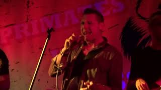 PRIMATES IN PROGRESS - Robin The Liquor Store (The Scabs )