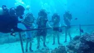 preview picture of video 'Helmet Diving at Mactan Cebu'