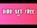 Sia - Bird Set Free (Lyrics)