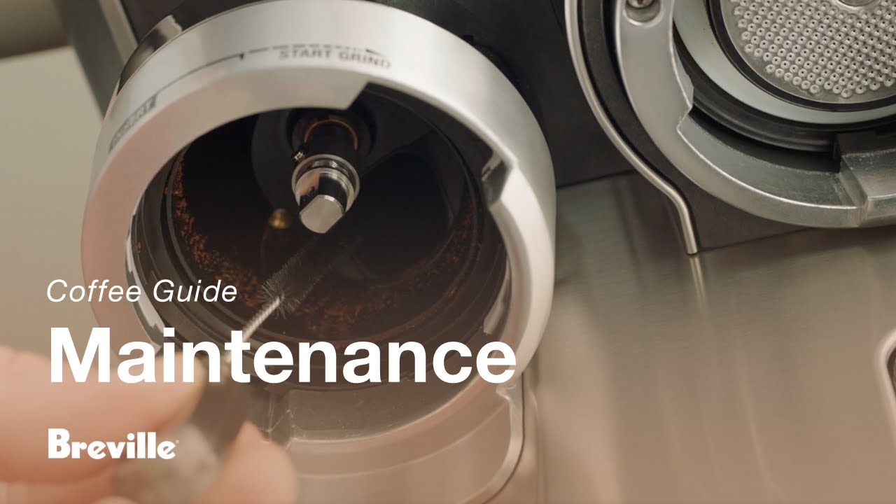 How to clean grinder conical burrs