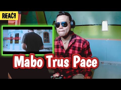 React | Owl Hank x Mor M.A.C - Cuma Mabo / Beken Baper