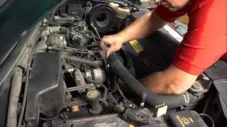 How To Install An Alternator In A Ford F150 - 4.6 Liter