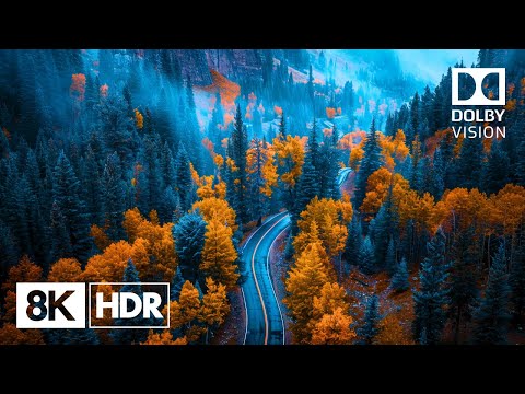 8K HDR 60fps Dolby Vision™ | Nature’s Beauty in Unmatched Clarity