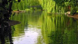 George Winston - This is Our Cry