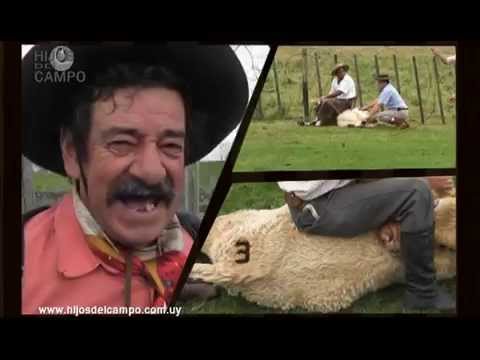 "Hijos del Campo"/ Yerra en Piedras Blancas -Rivera- (parte 1)