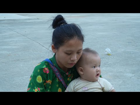 The Life of a 17-Year-Old Single Mother - Eggplant Harvest | Ly Tieu Ca