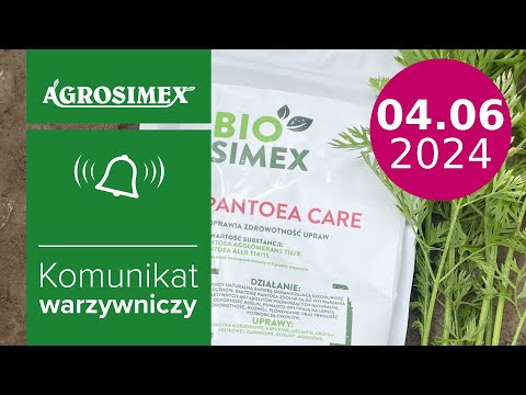 Jak stosować produkty mikrobiologiczne w uprawie warzyw? -  komunikat warzywniczy | Agrosimex