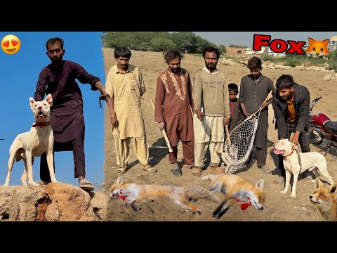 Mission Complete 😍