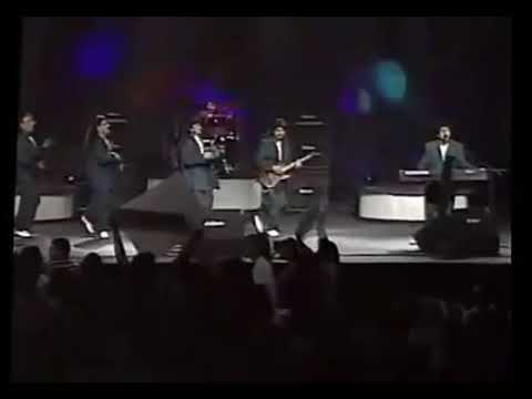 Los Grey's ®/ Te Tengo que Olvidar