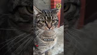 Download lagu LOST VIEW #shorts mp3