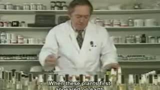 Download lagu BVI (Billion Venture International) Estebel origin mp3