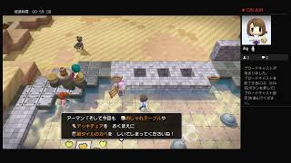 姉妹でDQB2に再挑戦！＃17