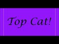 Top Cat Theme Song Lyrics