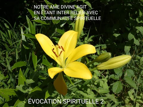 NOTRE ÂME AGIT EN RÉSEAU AVEC SA COMMUNAUTÉ FRATERNELLE ET SPIRITUELLE, jamais seule...