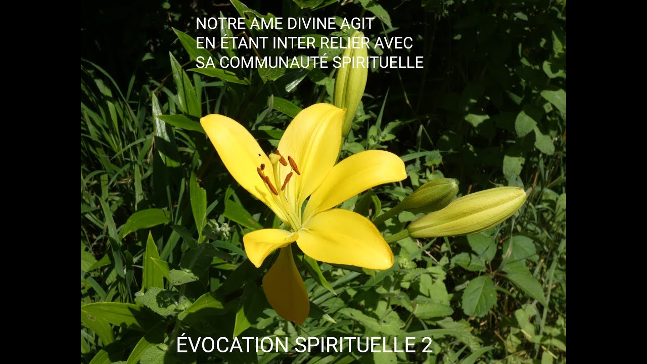 NOTRE ÂME AGIT EN RÉSEAU AVEC SA COMMUNAUTÉ FRATERNELLE ET SPIRITUELLE, jamais seule...