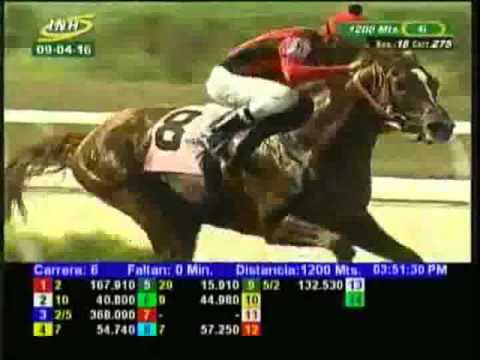 Resumen Sábado, 09 de Abril de 2016 - La Rinconada