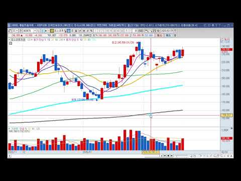 POSCO홀딩스 ( 포스코퓨처엠 ) 차트분석 2월 25일
