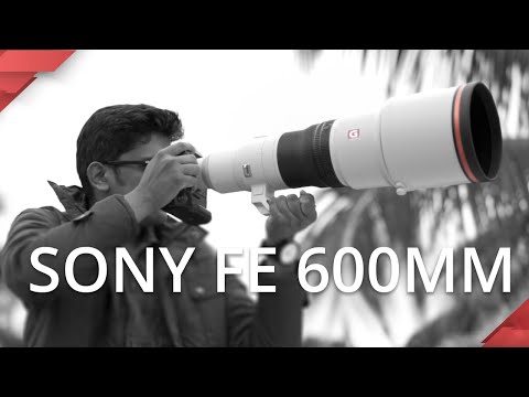 Video thumbnail for Video Review 3