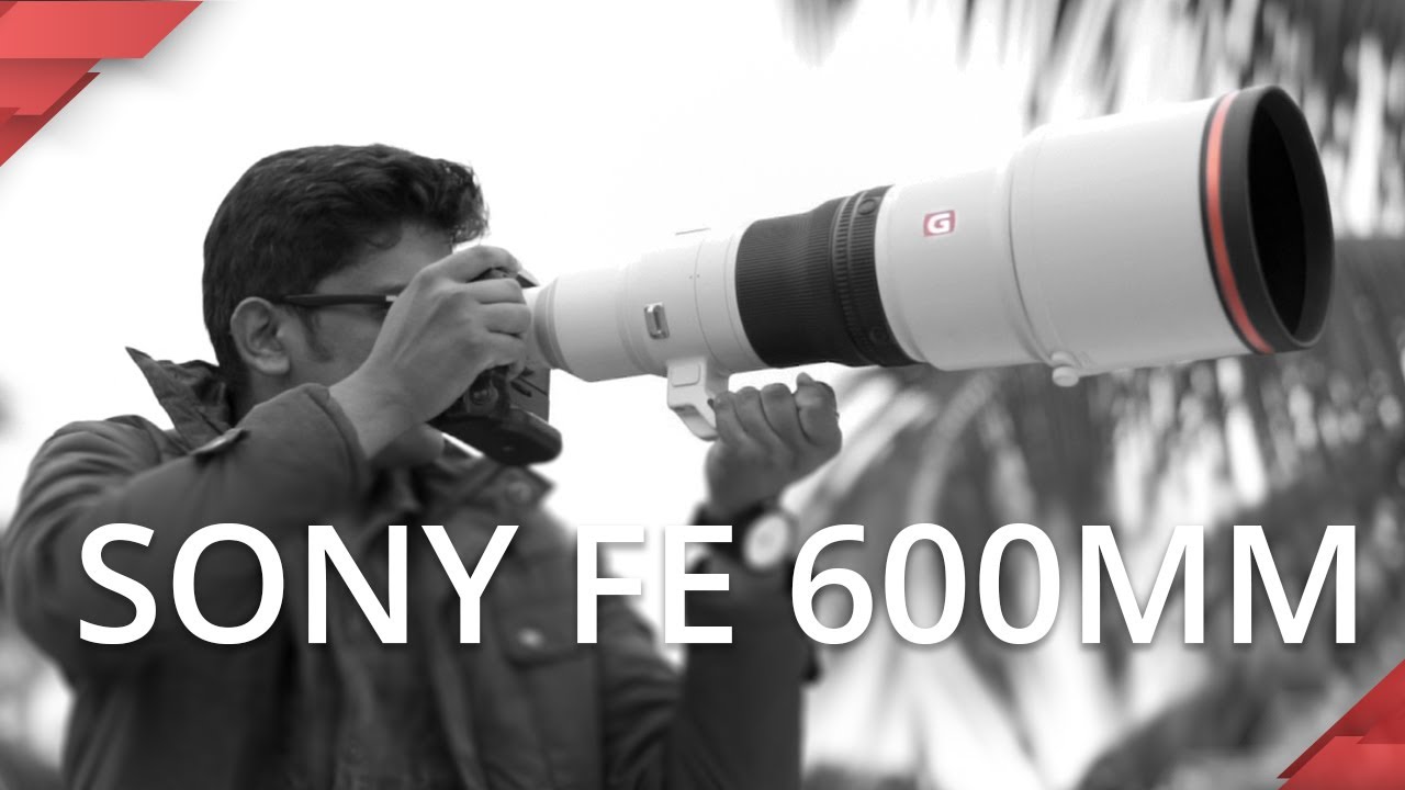 Video thumbnail for Video Review 3