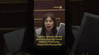 Դուք ձեր ընկերոջ դիակի վրա առևտուր էիք անում․ Ագնեսա Խամոյանը՝ Անդրանիկ Քոչարյանին