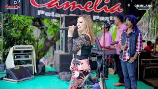 Download lagu CAMELIA MUSIC - TEMAN BIASA - EVA AQUILA - PARTY SEDULUR ERWE LIMO - PENDEM KEMBANG JEPARA mp3