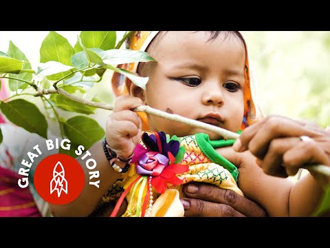 Planting Trees for Every Baby Girl