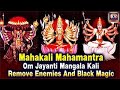 Powerful Mahakali MahaMantra Om Jayanti Mangala Kali Remove Enemies Black Magic