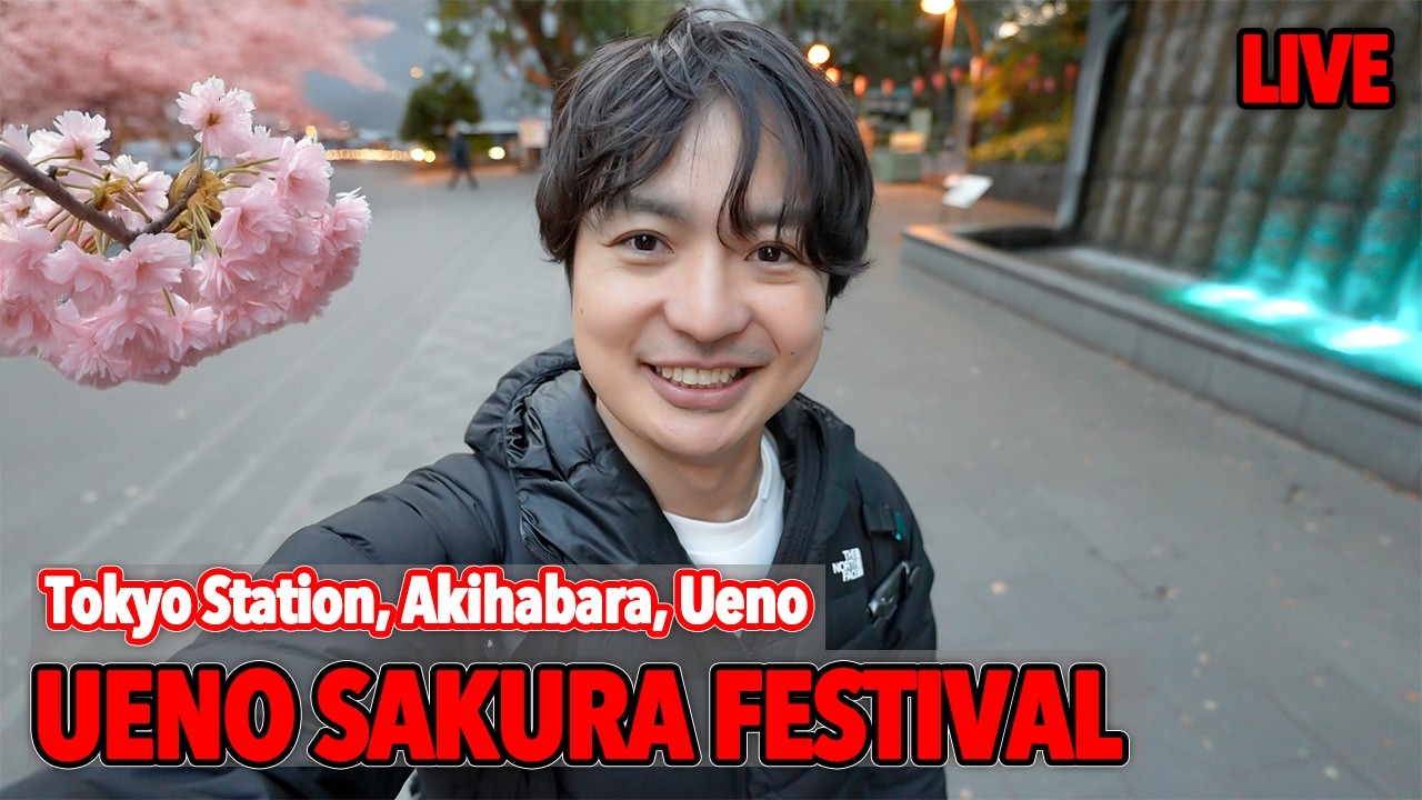(Live) Ueno Sakura Festival Started! Let's enjoy Sakura at Ueno, Tokyo Station, and Akihabara!