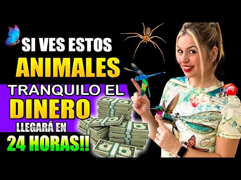 IF YOU SEE THESE ANIMALS IN YOUR HOUSE! 🐞💰 GET READY A LARGE SUM OF MONEY IS COMING TO YOUR HOUSE!!