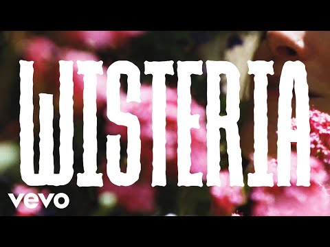 Lydia Luce - Wisteria (Official Video)