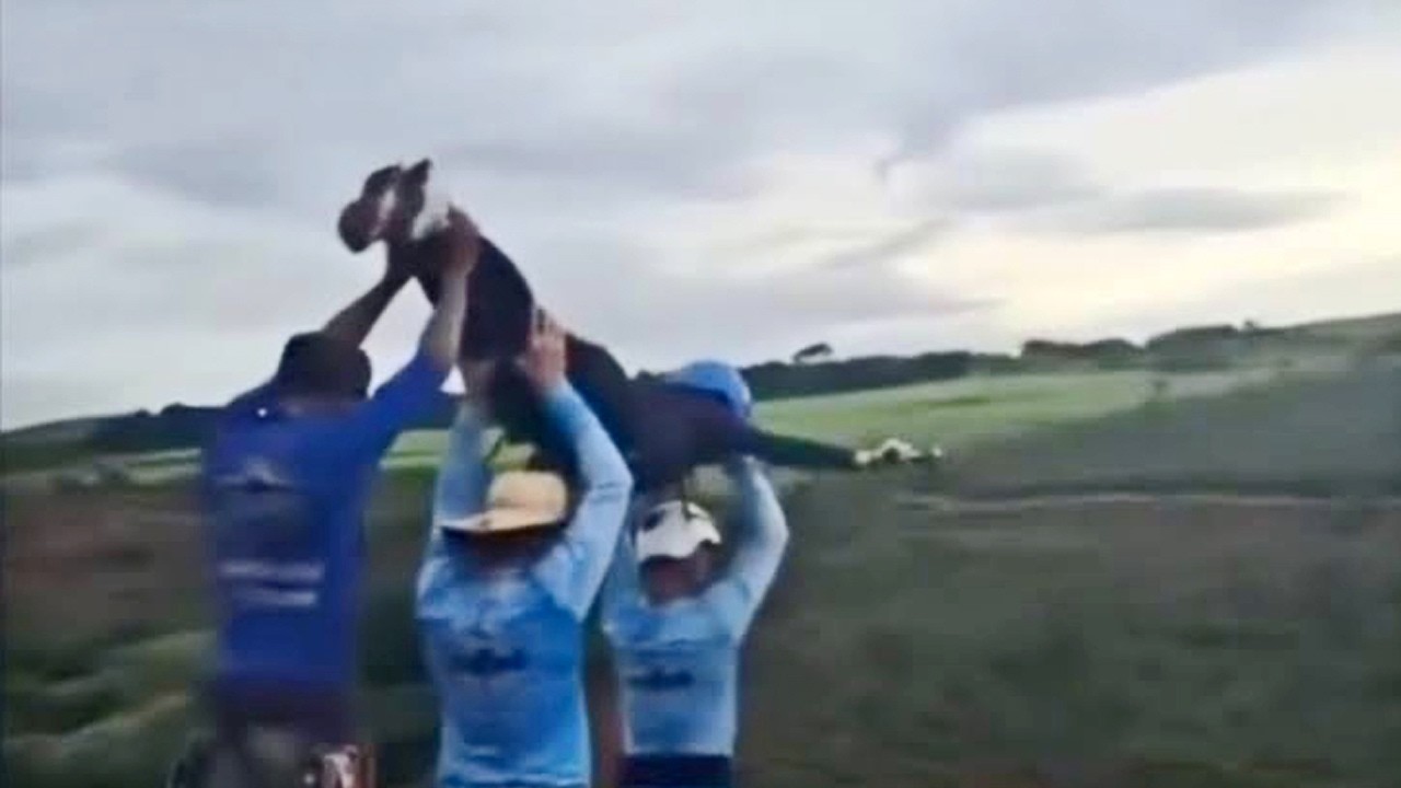 ¿Cómo pudieron LANZAR a una joven en PUENTING sin CUERDA? El terrible caso de Brasil