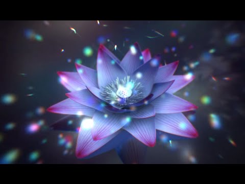 Mr Key & Greenwood Sharps - Kids Story (OFFICIAL VIDEO)