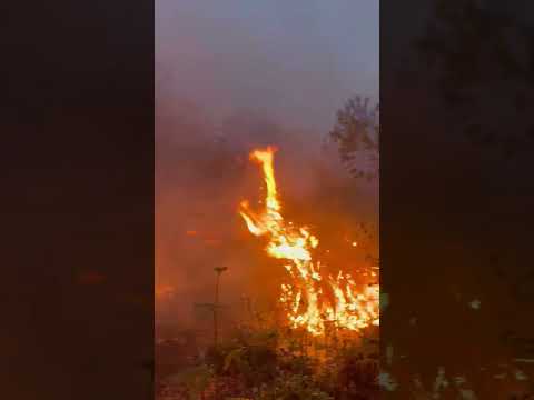 L'incendio sul monte Faeta (Credits: Antincendi Boschivi Regione Toscana)