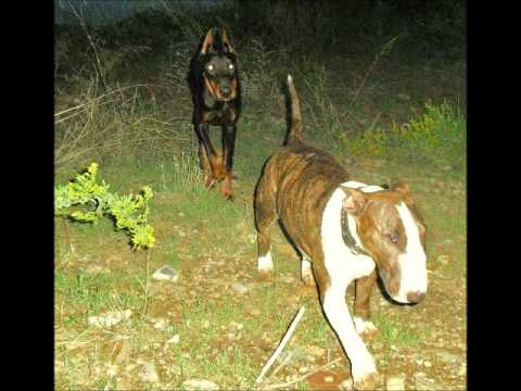 KHOSMO - PRESA ! CON DJNIÑO