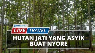 Tempat Wisata Murah di Boyolali, Ada Jati Park yang Asyik Buat Santai Sore