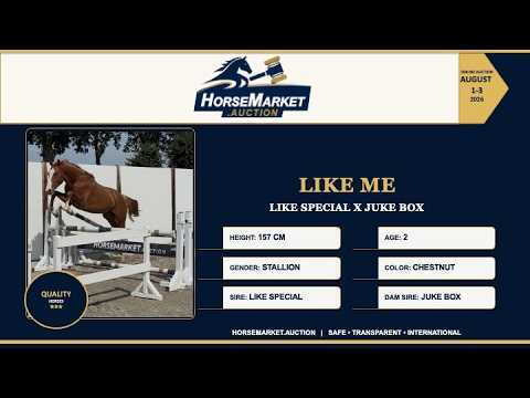 youtube preview