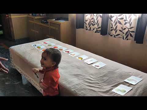 Lasya identified 25 Fruits..