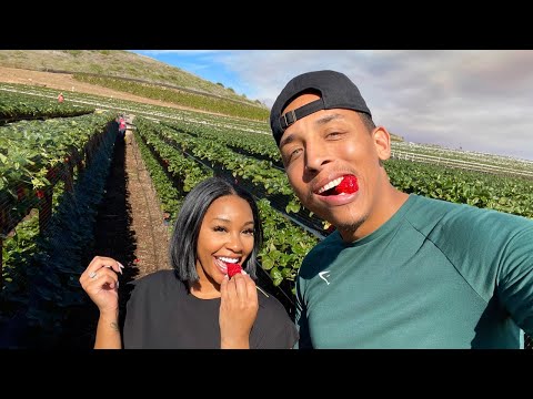OUR FIRST TIME STRAWBERRY PICKING *ALL YOU CAN EAT*