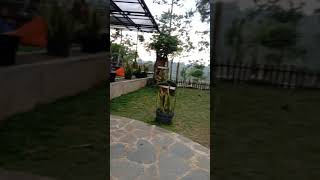 Download lagu cafe marlina majalengka mp3