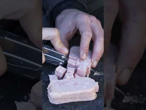 FORGOTTEN CARP BAIT! 🍖⁠