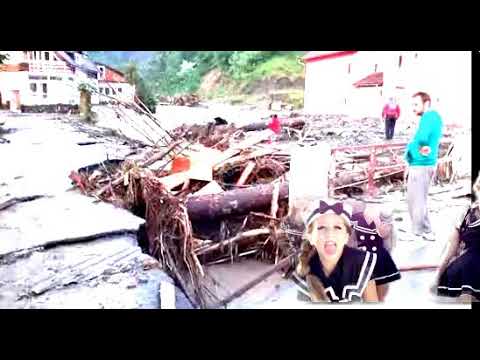 reduceri de pret in abrud