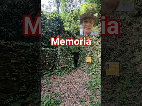 Parte de la misión de Ciudad Perdida en Falan Tolima está en la difusión de valores sociales