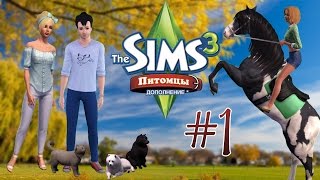 Давай играть в The Sims 3:Питомцы #1 (Уютная деревушка)