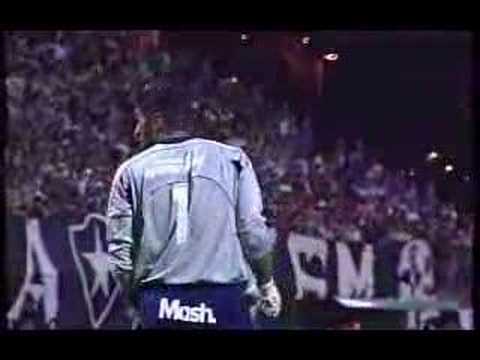 Melhores Momentos - Botafogo 4x2 América - Brasileirão 2007