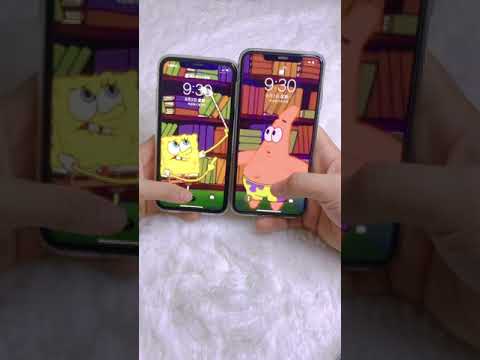 Spongebob Gif Wallpaper